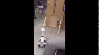 The TwitterDog System Using Linear Actuators Part II