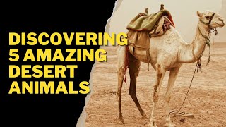 DISCOVERING 5 AMAZING DESERT ANIMALS