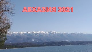 Абхазия 2021 \ Дорога к морю.\Ростов - Адлер \Мимоза