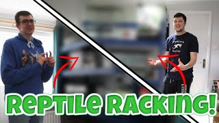 Setting up reptile racking! | Reptile Room