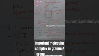 Important complexes#photosynthesis#cuetexam#cuet2024#cuetpg#shortsviral