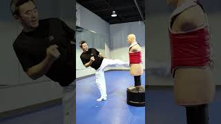 Here’s how to do a roundhouse kick on BOB #short