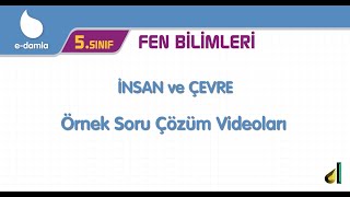 5. Sınıf Fen Bilimleri 6. Ünite - İnsan ve Çevre Örnek Soru Çözümleri