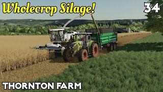 We Do WHOLECROP SILAGE! - Thornton Farm Ep 34 - Farming Simulator 22