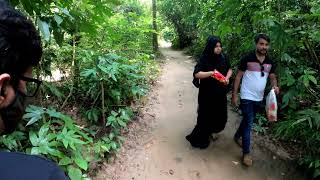 Lawachara National Park (3) - Monkeys on tree - Real Audio