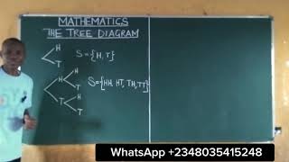 Probability Tree Diagrams | Understanding Tree Diagrams for Probability @content-academy