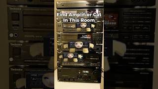 Amplifier Cat Finding Challenge