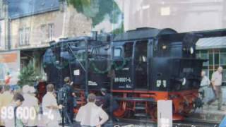 Quedlinburg - Dampfausfahrt 26.06.2006