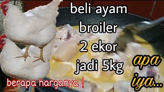 DUA EKOR AYAM BROILER || BERATNYA 5KG