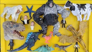 Dinosaurus Jurassic World Dominion:T-Rex, Mosasaurus, Siren Head, Kingkong, Giganotosaurus, Skibidi