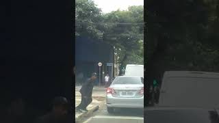 A Rua Oscar Freire é conhecida  por ter algumas das lojas mais #luxuosas#e caras de São Paulo shorts