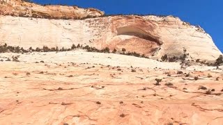 Zion  national park￼ Part1￼