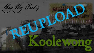 ‘KOOLEWONG’  Woy Woy Part 4 : Finding Old Bottles in the Water