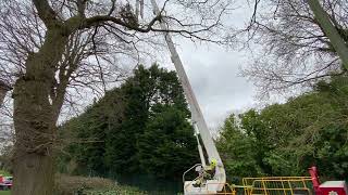 Rescue of a cat called Buttons in Bridlington by Humberside Fire And Rescue