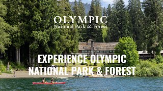 Explore Washington's Olympic Peninsula