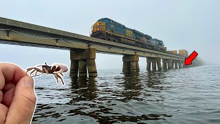 Fishing a FAMOUS Bridge With LIVE CRABS for HUGE SHEEPSHEAD!