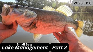 Lake Management ** Small Bass Take Over ** (Part 2)