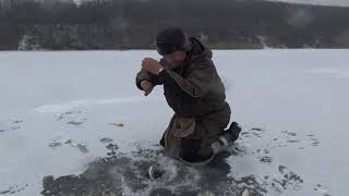 Поиск и ловля плотвы зимой на мормышку с мотылем Хотомля водохранилище