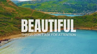 Beautiful things don't ask for attention