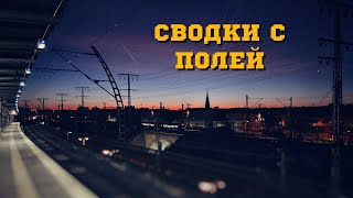 Сводки с полей.