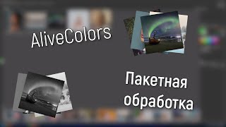 Пакетная обработка в AliveColors