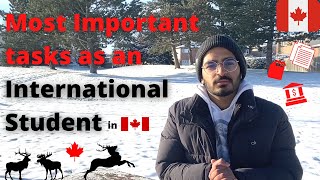 🇨🇦 Top 5 Essential Tasks To Complete After Landing In Canada