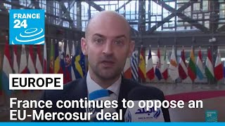 France continues to fiercely oppose an EU-Mercosur trade deal • FRANCE 24 English