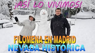 Nevada Histórica en Madrid.  Borrasca Filomena. El Retiro Nevado (8 -9 de Enero de 2021)