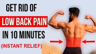 Fix LOWER BACK PAIN in 10 Mins Top 4 Stretches