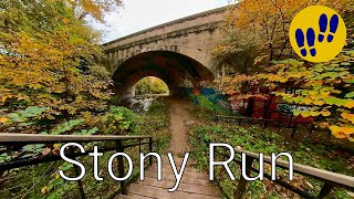 Walking in Gorgeous Fall Foliage - Stony Run Trail, Baltimore