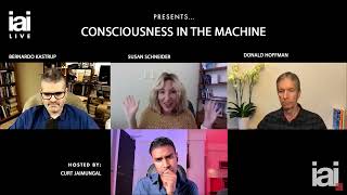 Consciousness in AI | Kastrup, Hoffman, Schneider