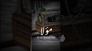 Mazdooron ke kandhon per Kazim ka Janaza he Mir Hasan Mir Noha WhatsApp Status Imam Musa Kazim 2024