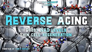 [REVERSE AGING] ★Boost NAD+ Levels + Skin Cell Regeneration★