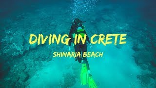 Diving in Crete. Shinaria Beach