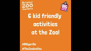 6 child friendly activities to do at Bristol Zoo Gardens!