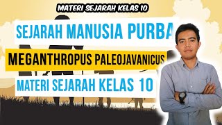 MATERI KELAS 10 TENTANG MANUSIA PURBA MEGANTHROPUS PALEOJAVANICUS