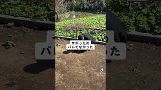 新築現場の草むしりをする