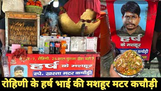 World Famous Matar Kachodi | Delhi Street Food | Yummy Food India