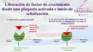 Presentacion Teorica sobre  PRP