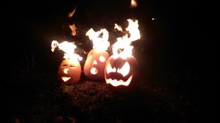 Brodginski Flaming Pumpkins