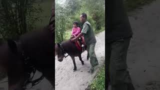 TAMAN SAFARI  NAIK KUDA DI ATAS GUNUNG PANGRANGO ADA PANDA GEMOY #panda