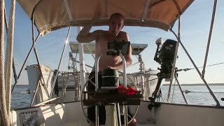 10 Billion Bugs Attack Our Boat | Sailboat Story #Shorts