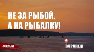 НЕ ЗА РЫБОЙ, А НА РЫБАЛКУ! "ЛЕСНАЯ ШКОЛА", ВОРОНЕЖСКОЕ ВОДОХРАНИЛИЩЕ.