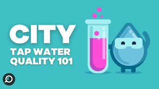 Tap Water Quality 101: Common Contaminants in City Water