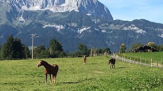 Walking and relaxing beautiful view