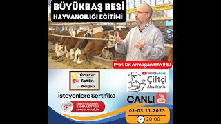 Prof. Dr. Armağan Hayırlı Büyükbaş Besi Eğitimi 3. Eğitim