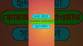 Best Quran Tilawat #qurantilawat #shortvideo #beautifulquran #itmislamicmedia #foryou