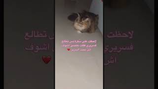 متاكده انها لعبه 🤣؟