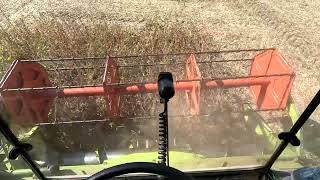 🚜CAB-VIEW 👨‍🌾 Koszenie Soi🌾| Claas Dominator 88sl |#13