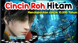 SOUL LAND 3 PUTRA TANG SAN - TANG WULIN DAN CINCIN ROH HITAM SEPULUH RIBU TAHUN